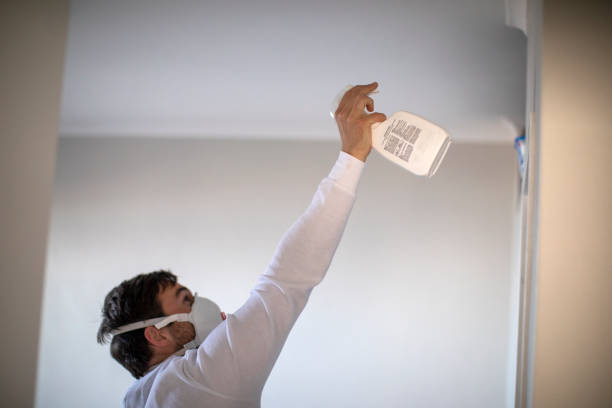 Reliable Peach Lake, NY Mold Removal Solutions