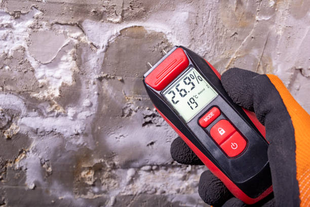Best Mold Remediation Experts  in Peach Lake, NY