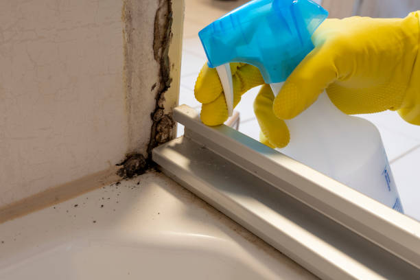 Best Commercial Mold Removal  in Peach Lake, NY