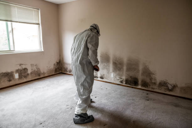 Best Mold Testing  in Peach Lake, NY